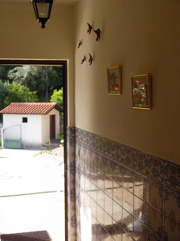 Vila Boa  Holiday Home Mortagua מראה חיצוני תמונה